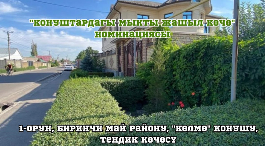 Бишкекте «Жашыл шаар» конкурсунун жыйынтыгы чыгарылды