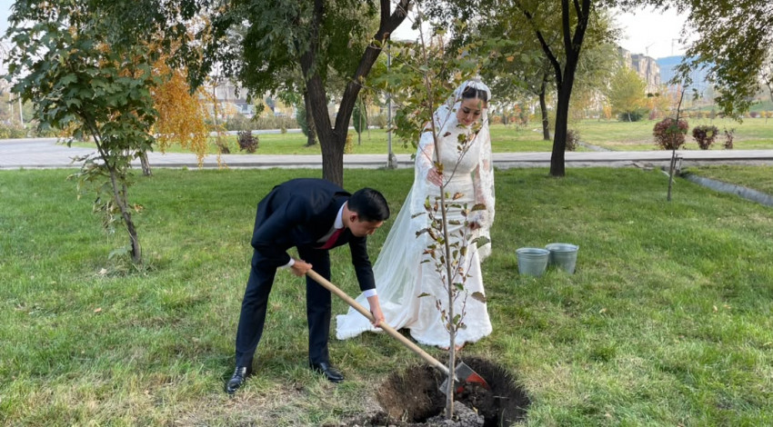 Жаңы үйлөнгөндөр сүйүүсүнүн символу катары бак отургузушту